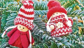 Annual Christmas Fair in west Tipperary village on Sunday next - Why not pop over?