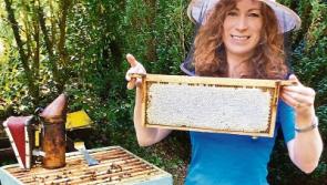 Tipperary beekeeper Aoife MacGiolla Cuda  hopes to create a buzz at craft fair