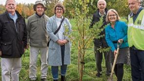 American visitors learn from Clonmel's success