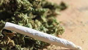 Tipperary crime: Gardai seize cannabis valued at €500 during house search in Nenagh