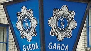 Masked and armed criminals commit aggravated burglary at home of elderly man in rural area near Clonmel 