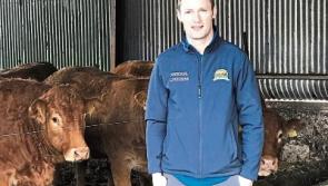 Herdwatch app is helping Rathdowney's Brian to streamline work