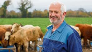 Three South Tipperary farms shortlisted for Bord Bia awards 