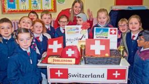 Co. Tipperary school celebrates its students cultural diversity