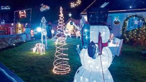 Tipperary home's amazing Christmas decorations aids children's hospital