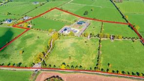 Tipperary farm at Cashel developed to stud farm standard up for sale