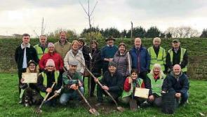 Scheme enhances the proud apple tradition in Tipperary's biggest town