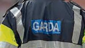 Tipperary Gardai investigating report of sulky racing outside Nenagh