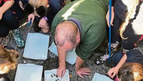 Tipperary biodiversity project on the River Ara in line for national award