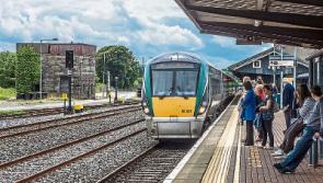 Nine deer killed in train crash at Goold’s Cross between Thurles and Limerick Junction 