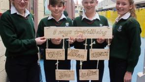 Tipperary students take part in wellness week at Cashel Community School