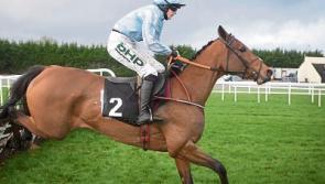 Tipperary's Crosse brothers among the winners in Dundalk as Rachael Blackmore maintains winning form