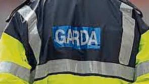 Gardai renew appeal for witnesses to robbery and assault of woman in Clonmel