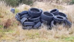 ‘Disgraceful’ dumping of old tyres, mattresses and cookers in Tipperary