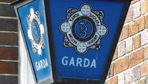 Tipperary Gardai seize cannabis valued at around €800 near Birdhill