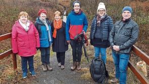 Tipperary bog restoration features at major national biodiversity conference