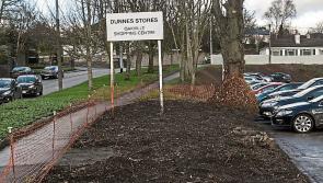 Shock and dismay at felling of trees around Clonmel shopping centre 