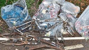 One man collects 20 bags of litter on Cahir by-pass