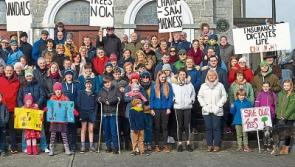 Campaigners seek meeting with Tipperary Co. Council over felling of Fethard trees