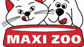Maxi Zoo helps Tipperary pet owners to celebrate Valentine's Day