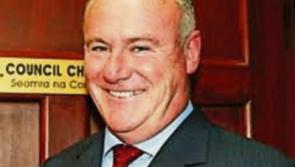 Crocodile cracks from the Stone Age on the N24 in Carrick-on-Suir, council meeting told