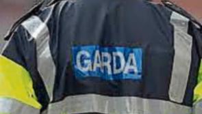 Tipperary gardai discover emaciated and dead animals in Ballingarry