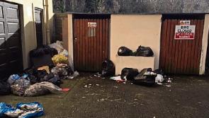 'Horrendous' dumping at Tipperary RehabCare centre is attracting rats and mice