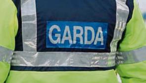 Two men arrested in connection with aggravated burglary near Clonmel, have been released from garda custody
