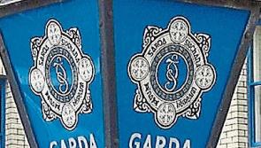 Gardai investigate thefts from four cars in Clonmel housing estate