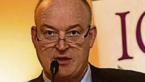 Tipperary farming: ICSA says post-Brexit State aid scheme welcomed but does not go far enough