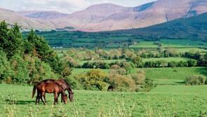 Top ten sights to see in south Tipperary