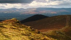 Ten sheep kills in 30 years - Tipperary farmer appeals to public to keep dogs off mountains