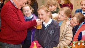Tipperary students learn about the importance of bees and pollination