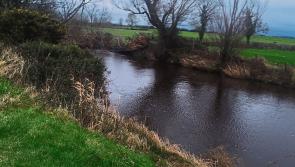 Public meeting to be held to discuss ambitious river project in Tipperary town