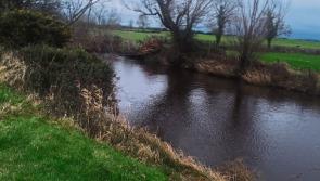 Tipperary anglers to help with Clashawley River Bank clean-up on Sunday