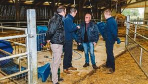 IFA ramp up the pressure to get extra calf lairage at Cherbourg