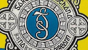 Gardai investigate arson attack on car and smashing of windows in second vehicle in Glen of Aherlow