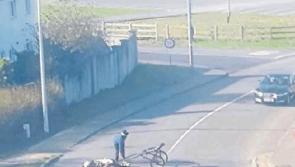 Animal cruelty case in Tipperary described as "shocking"