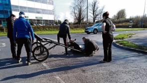 Horse survives distressing scene of animal cruelty in Tipperary