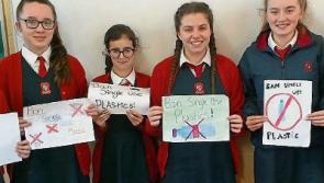 Tipperary school hosts sustainability exhibition in bid to make Clonmel a fairtrade town