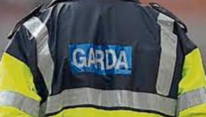 Tipperary garda&iacute; seize cannabis  valued at &euro;300 in Roscrea search