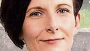 Tipperary councillor welcomes work at Newport school