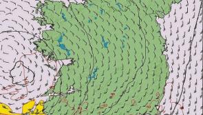 Tipperary County Council issues advice to the public as Storm Hannah approaches