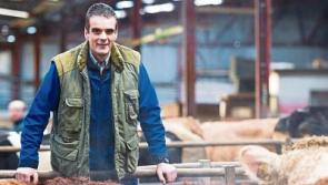 Tipperary farming: Beef farmers ‘fed up with empty promises’ to Brexit