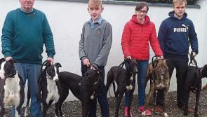 Tipperary trainer giving youth a chance in greyhound racing
