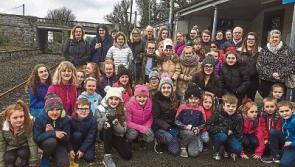Tipperary County Council urged to stay on board with Tipperary rail services