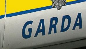 Tipperary garda warning as horses loose on the road on Clonmel bypass