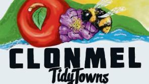 Volunteers needed for Clonmel tidy towns relaunch