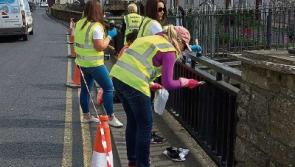 A call for volunteers from Roscrea Tidy Towns group