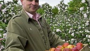Will another Tipperary food producer follow the Apple Farm's lead and win Blas na hEireann award?